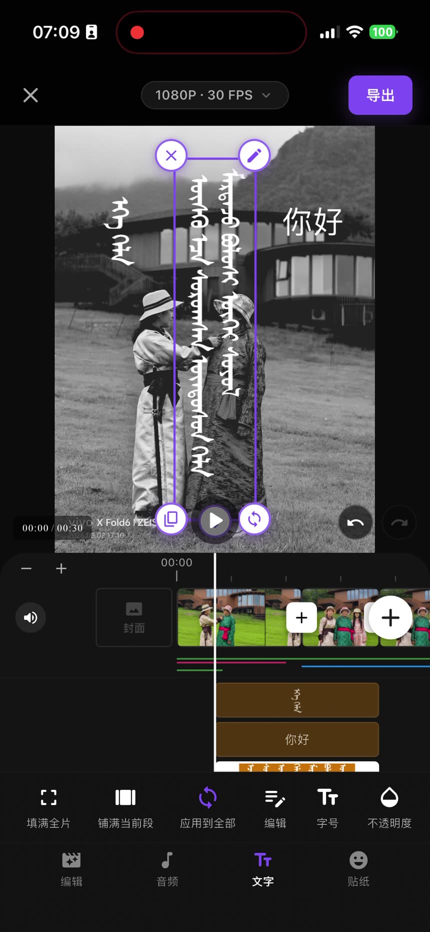 编辑器中添加的竖向蒙古文文字
